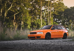 лес, деревья, тюнинг, универсал, ауди, Audi rs4