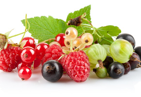 красная смородина, чёрная смородина, Ягоды, крыжовник