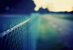 трава, Макро, забор, сетка, зелень, даль, луг, дорога