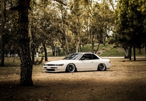 white, Nissan, сильвия, s13, silvia, белая, деревья, ниссан
