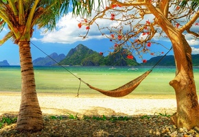 Caribbean, Paradise, Sunshine, Sea, Beach, Hammock, Palms, Relax