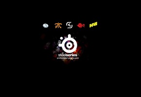 Steelseries, navi, fnatic, sk gaming, стилсериес, logo, логотип, evil geniuses