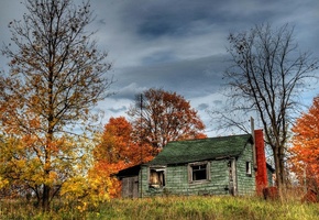 Autumn, Old, House, Abandoned, Trees