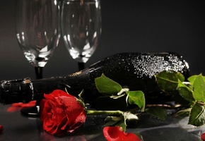 Champagne, Cups, Rose, Petals, Leaves