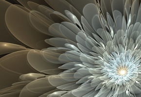 лепестки, белые, цветок, узор, Арт