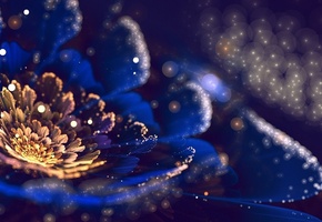 Арт, цветок, лепестки, пыльца, фрактал, боке