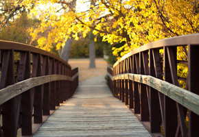 жёлтые, осень, блики, Природа, мостик