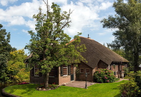 Город, дерево, дом, канал