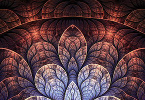 узоры, лепестки, Фрактал, арт, линии