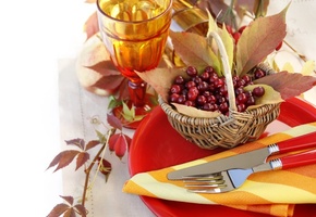 ягоды, Рябина, салфетка, корзинка, тарелки