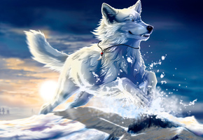 клык, снег, закат, прыжок, волк, wolfroad, Be free, art, белый