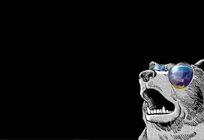 Медведь, стиль, swag, очки