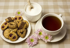 блюдце, сахар, Печенье, цветы, чай, чашка