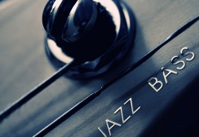 макро, струны, колок, Гитара, гриф, jazz, bass