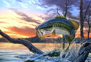 Al agnew, арт, река, рыба, окунь