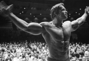 Арнольд шварценеггер, arnold schwarzenegger, мужик, актер