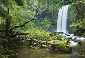 деревья, скала, лес, камни, река, Водопад