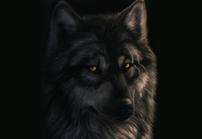 шрамы, Art, черный фон, dark_sheyn, волк