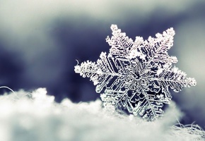 зима, Снежинка, снег
