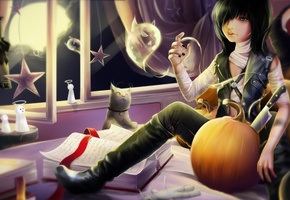 парень, комната, кошка, Арт, бинты, окно, halloween, книги