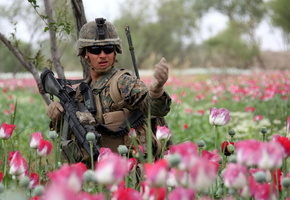 мужчина, Солдат, оружие