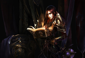 World of warcraft, доспехи, воительница, wow, девушка, chenbo, книга