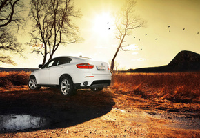 белый, внедорожник, бмв, паркетник, солнце, лужа, Bmw x6