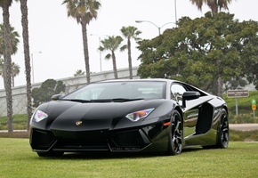 Lamborghini, машина, ламборджини