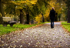 листья, Парк, настроение, дорога