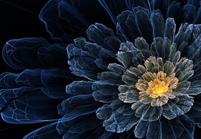 волнистый, линии, темный, цветок, лепестки, Арт