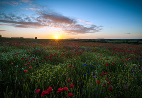 great britain, Великобритания, англия, хартфордшир, england