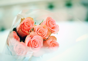 Розы, нежность, букет