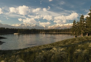 холмы, деревья, Арт, лес, ель, горы, озеро, хвойные