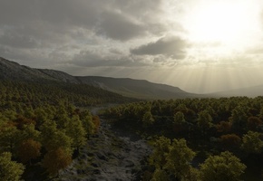 Арт, деревья, лес, холмы, солнце, русло