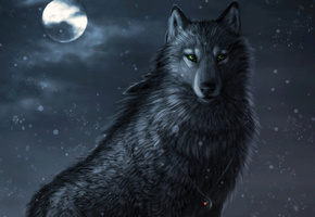 art, Winter night, ночь, dark_sheyn, волк, снег, амулет, луна