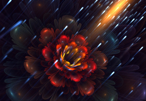 светлячки, Арт, цветок, фрактал, лепестки