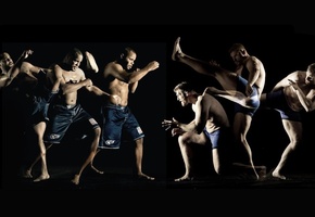 смешанные боевые искусства, strikeforce, Mma, бойцы, fighters