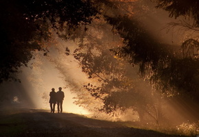 сумерки, парк, лес, прогулка, Вечер, двое