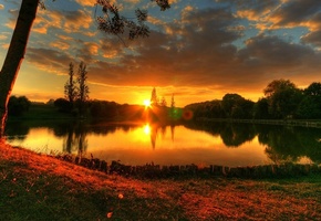 Лето, природа, закат, деревья, озеро