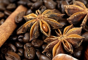 coffee, зерна, анис, пряности, корица, Кофе