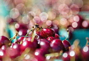 Еда, черешни, блики, вишни, боке, макро