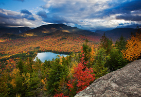 green, blue, wood, red, wide, Tree, sky, sea