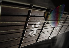 медиатор, лады, гриф, Гитара, струны, макро