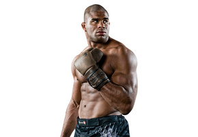 mma, Alistair overeem, алистар оверим, смешанные единоборства
