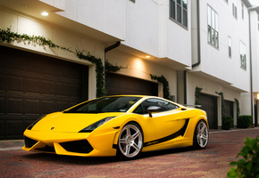 gallardo, yellow, superleggera, ламборгини, ламборджини, Lamborghini