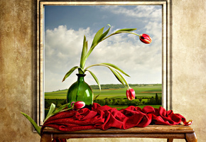 цветы, облаках, тюльпаны, пейзаж, Природа, небо