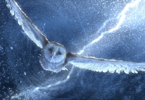 гроза, полет, легенды ночных стражей, Cова