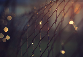 огни, ночь, Решетка, сетка, забор, макро, боке, металл