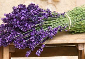 Лаванда, цветы, скамейка, букет