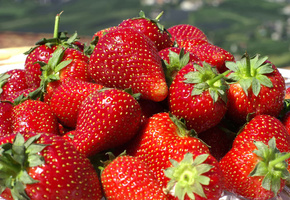 обои, Клубника, ягода